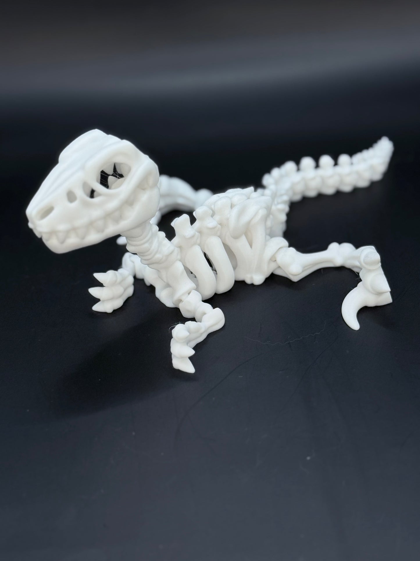 Velociraptor Skeleton Figurine/Toy